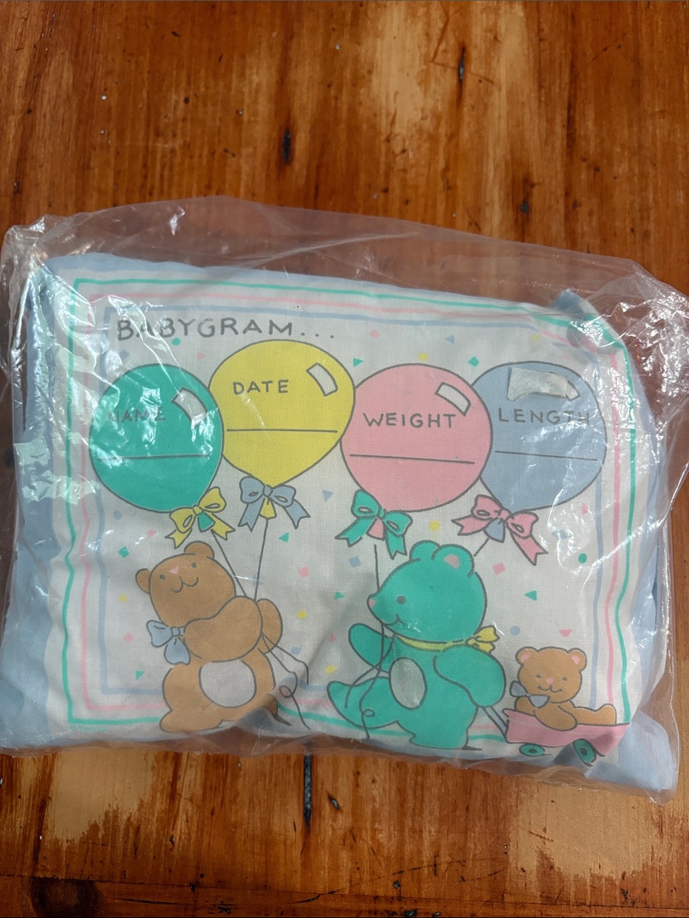 Pastel Bear Milestone Pillow – Multi